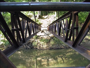 010711 misc bridgeIMG_0394.jpg